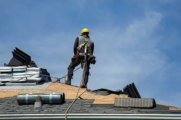 Professional Roof Replacement technician working in Saint Pauls, NC